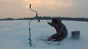 рыбалка на Ямале Ноябрьск