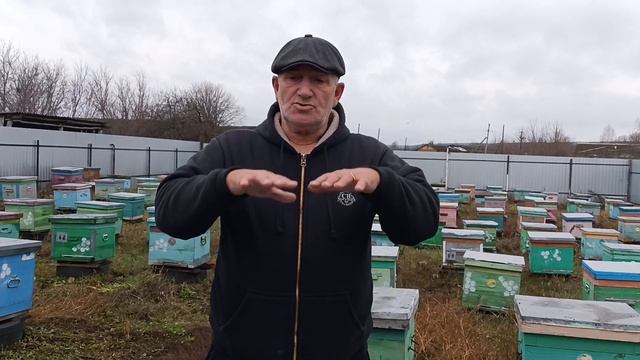 Почему я никогда не утепляю пчёл в зиму ?❄️❄️ смотреть онлайн