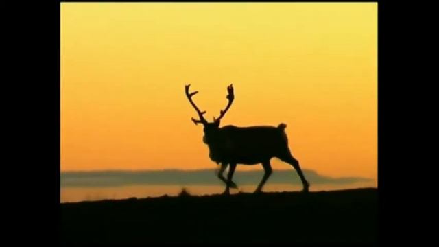 В том краю прожили мы смотреть онлайн