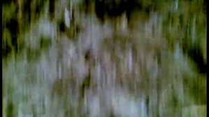 Ремонт метантенка