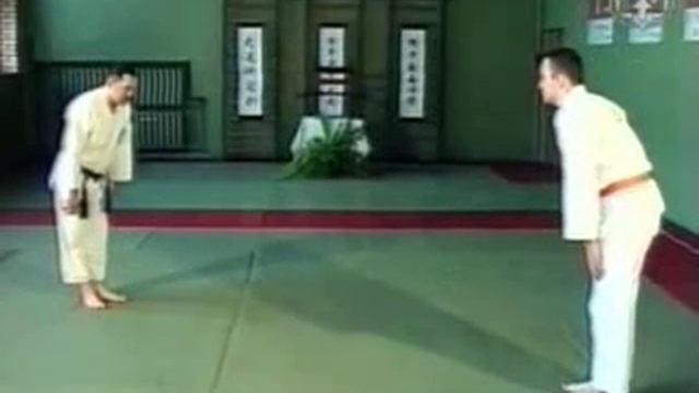 Гошин рю полицейский вариант рукопашного боя 31 2 смотреть онлайн