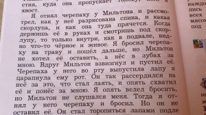 Чтение 4 кл: Л.Н.Толстой «Черепаха»/18.11.22 23:40