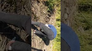 Рыбалка на речке Кальмиус!!Мариуполь,ловля карася.