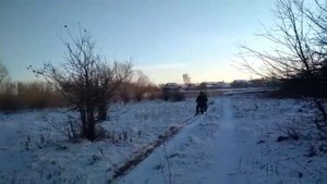 Мотосани