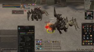 Заступник сайхи с бустом на 2кккк адены. Что покажет няха в pve? Lineage 2 основная версия в 2022.