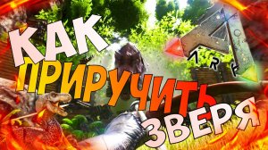ARK Survival Evolved КАК ПРИРУЧИТЬ РАПТОРА МАСТЕРА ПРИРУЧЕНИЯ #3 Сетевая #игра 1080р 60fps #gaming