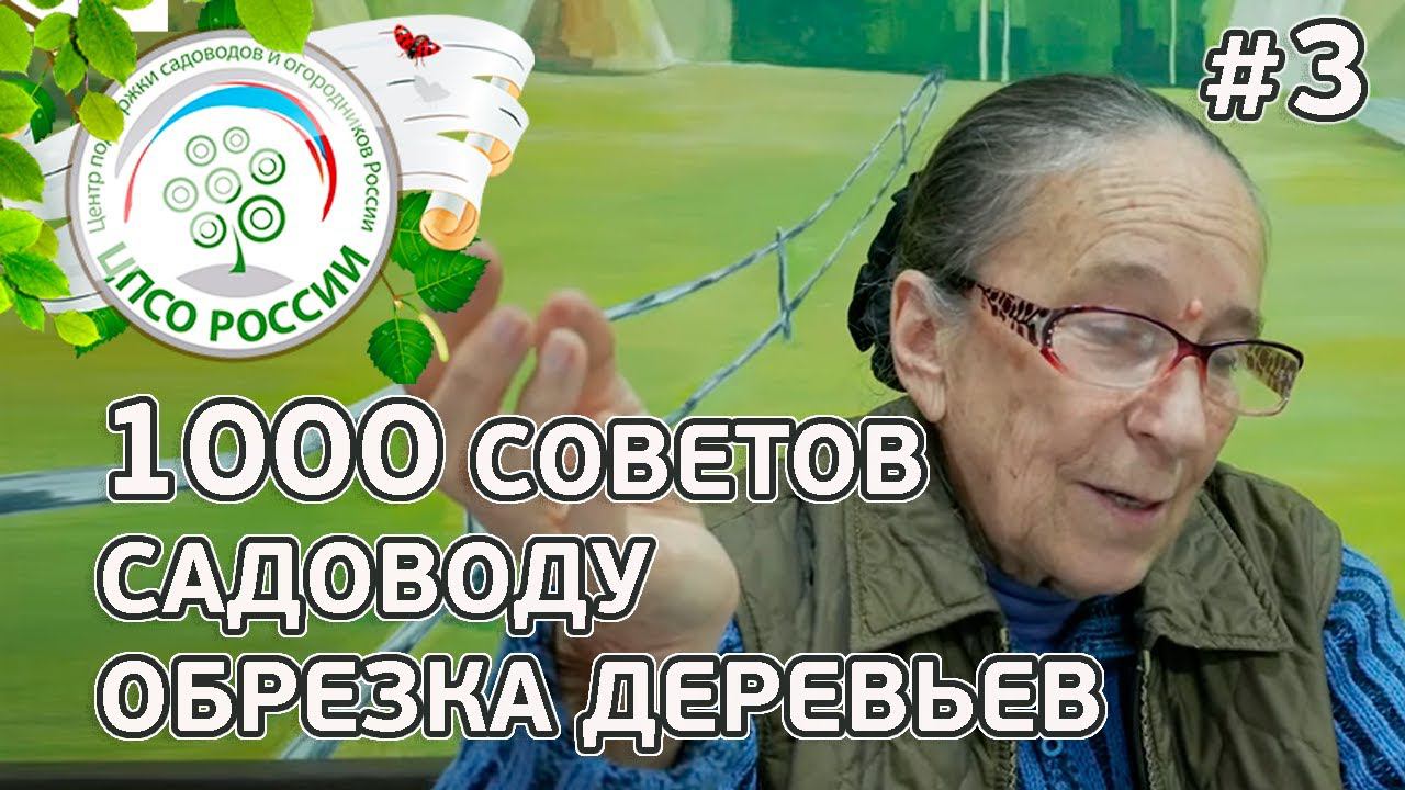 Советы по обрезке плодовых деревьев и уходу за садом. Ответы на вопросы по обрезке деревьев.