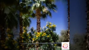 Old Vic Sharm Resort 4* обзор дороги на коралловый пляж пешком(Reef beach)