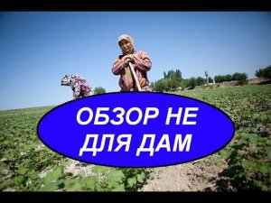 ОБЗОР НЕ ДЛЯ ДАМ