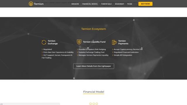Ternion ICO обзор платформы. смотреть онлайн
