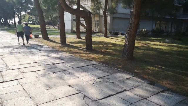 Абхазия, Пицундский заповедник, 2019 смотреть онлайн