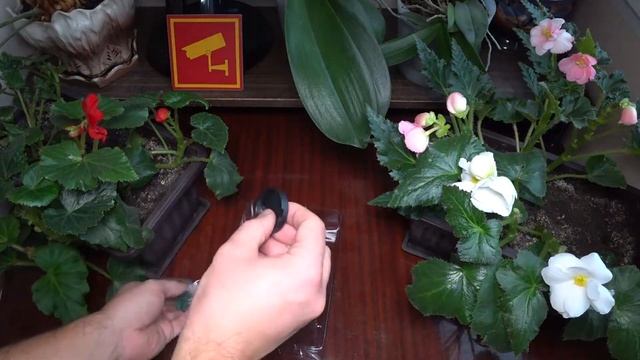 Распаковка IP-камера Digma DiVision 200 White смотреть онлайн