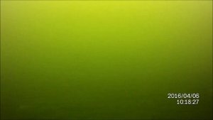 Чудовища озера Бросно