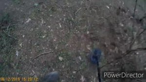 Фишер ф44 на программе АМ.