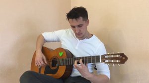 Джо Дассен "Салют" на гитаре