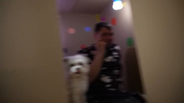 КАРТУН КЭТ В РЕАЛЬНОЙ ЖИЗНИ | 24 ЧАСА В КАРТОННОМ ДОМЕ С КОТАМИ И СОБАКОЙ смотреть онлайн