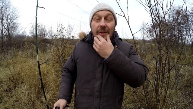 Ловля певчих птиц 2020. Снегири и бонусый чиж. смотреть онлайн