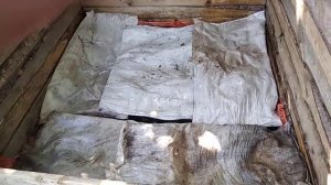 Красный Калифорнийский червь. бизнес на червях.