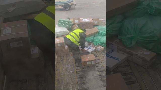 Работники аэропорта Улан-Удэ небрежно, неаккуратно обращаются с багажом пассажиров. Улан-Удэ, Росси