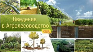 Введение в агролесоводство!