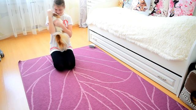 Моё Утро с Собакой ll My Morning Routine смотреть онлайн