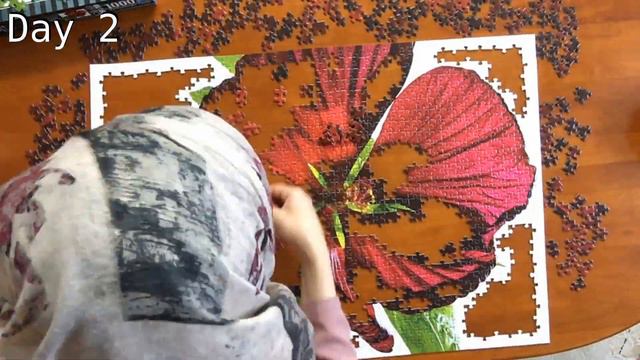 Solving a " Ravensburger " Puzzle 1000 pieces ! смотреть онлайн