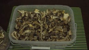 Из вешенок готовим грибную икру и грибную муку.