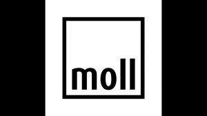 Сборка стола moll Winner Split