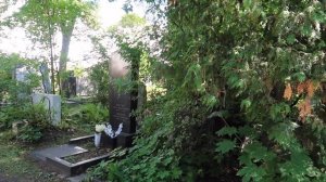 Новодевичье кладбище могилы знаменитостей.