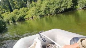 На пути к Сара Чумышу. Встреча с медведем, тайский болотоход 15л.с.