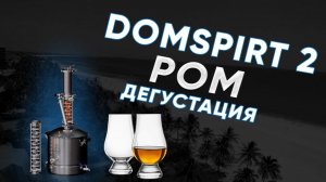 DOMSPIRT 2/ ДОМСПИРТ 2 Ром из тростниковой мелассы. Дегустация