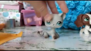 LPS: Распаковка лпс с Алиэкспресс: