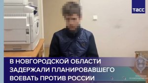 В Новгородской области задержали планировавшего воевать против России