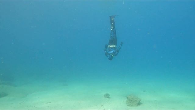 Нашли под водой акулу и решили погладить её! смотреть онлайн