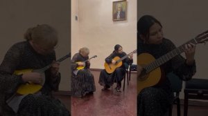 Дуэт гитара, домра