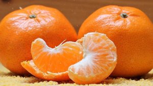 Как Выращивать  Мандарин Из Косточки В Домашних Условиях