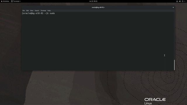 Using Ext2, Ext3, and Ext4 File Systems on Oracle Linux