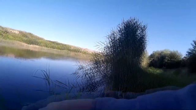 Рыбалка там где очень много окуня смотреть онлайн