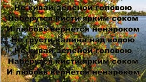 НЕ ГРУСТИ КАЛИНА НАД ВОДОЮ - КАРАОКЕ ПОД БАЯН .ВальЯш !!! текст в описании