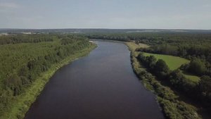 Река Юг (у Сергеевских стаек) (Кичменгско-Городецкий район)
