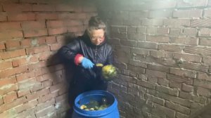 Соленый арбуз -отличное лакомство  и закуска к новогоднему столу.