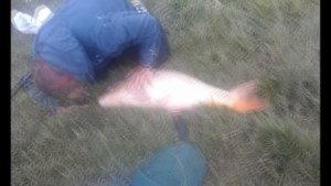 РЫБАЛКА В КРЫМУ  СТАРАЯ ПЛОТИНА