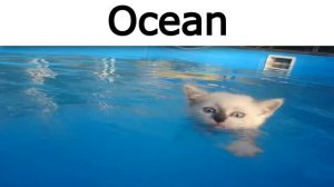 Listening to Terraria OST be like: