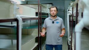 Обзор УЗВ ПО ВЫРАЩИВАНИЮ австралийского КРАСНОКЛЕШНЕГО РАКА | Бизнес идеи 2022