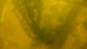 ЛОВЛЯ РАКОВ В КОСТЮМЕ AquaDiscovery.ПОДВОДНАЯ СЬЕМКА