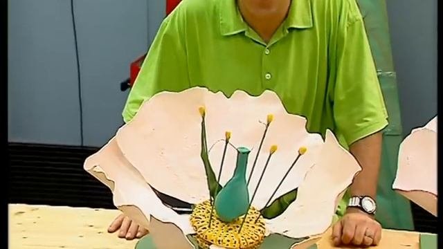 Pas De Saison Pour Les Fleurs - C'est Pas Sorcier