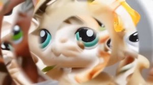 LPS׃ Дневник толстушки 0 3