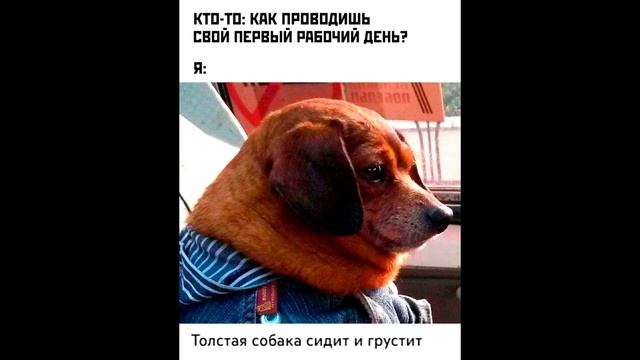 20 лучших мемов дня, подборка черного юмора #55