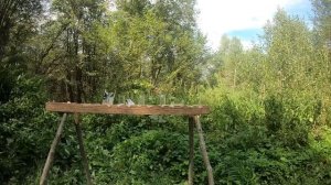 Эдган Леший 2 стреляем по мишеням. КАЛИБР 6.35. ТЕСТЫ НА ПРОБИТИЕ.