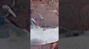 Замена штатных брызговиков на Гранте